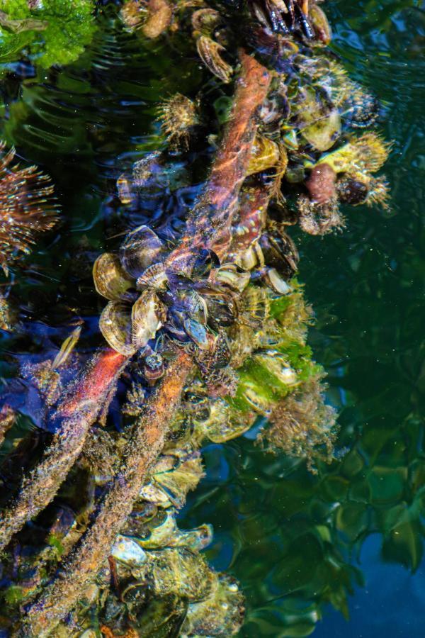 ムクラ島 Dahlandiaヴィラ エクステリア 写真