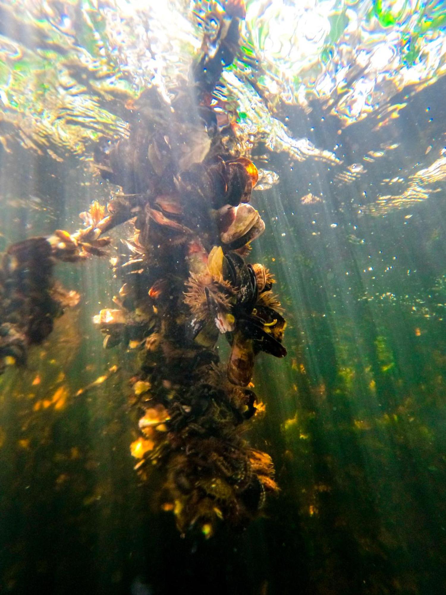 ムクラ島 Dahlandiaヴィラ エクステリア 写真